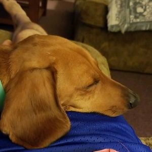 Meet your Posher, Vince